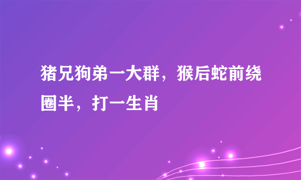 猪兄狗弟一大群，猴后蛇前绕圈半，打一生肖