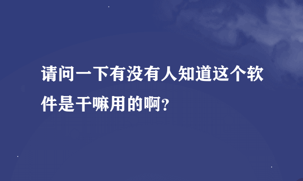 请问一下有没有人知道这个软件是干嘛用的啊？