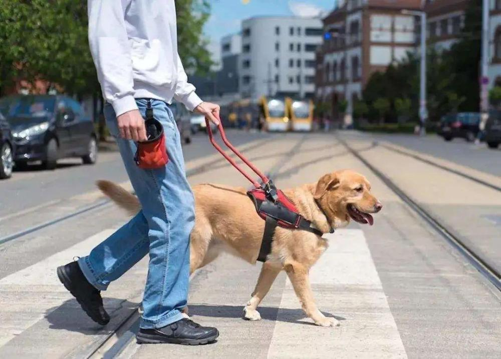 珠海长隆就盲人带导盲犬入住酒店遭拒致歉，事件的背后酒店存在哪些问题？