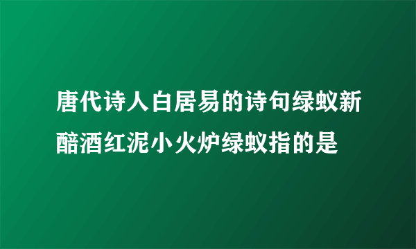 唐代诗人白居易的诗句绿蚁新醅酒红泥小火炉绿蚁指的是