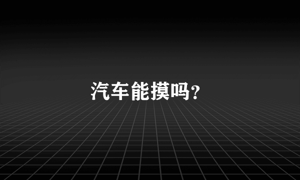 汽车能摸吗？