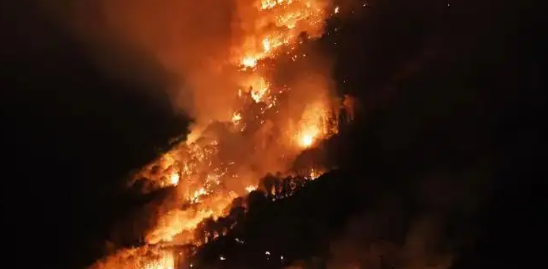 重庆涪陵区南川区山火明火已全部扑灭！这起火灾是意外还是人为？