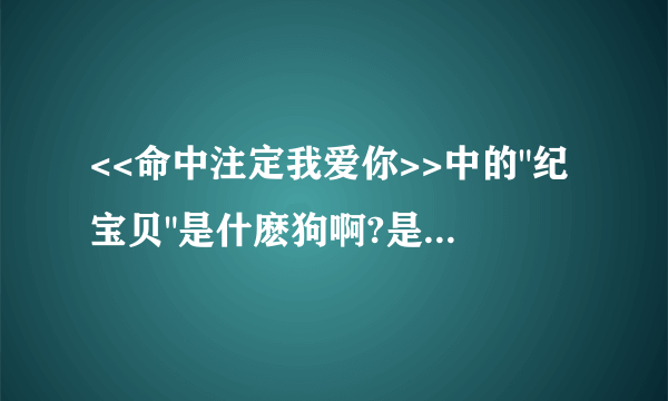 <<命中注定我爱你>>中的