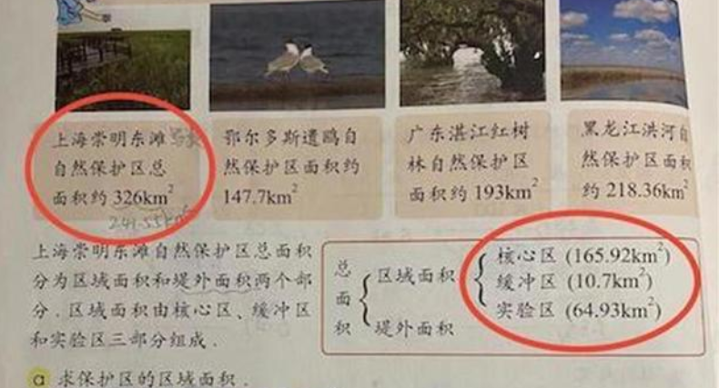 教材又出问题，五年级小学生指出数学教材错误，是审核不力还是另有原因？