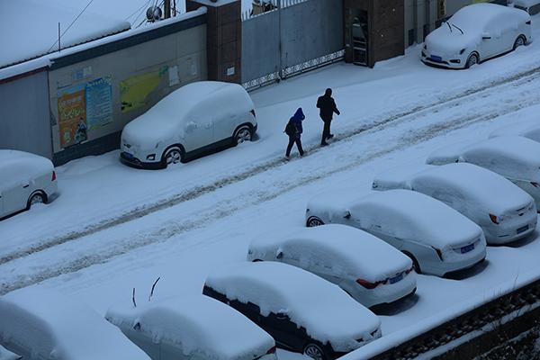 多地断崖式降温降雪，这个冬天会出现极端寒潮吗？今年寒潮为何来得这么早？