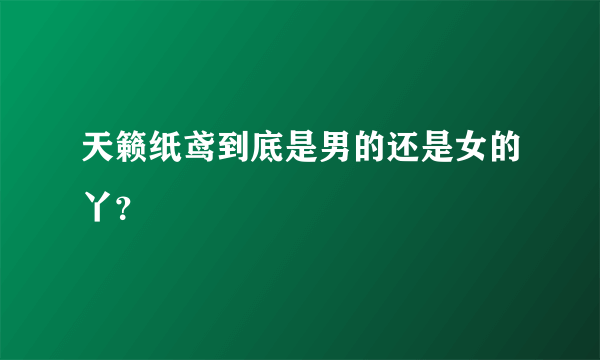 天籁纸鸢到底是男的还是女的丫？