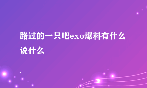 路过的一只吧exo爆料有什么说什么