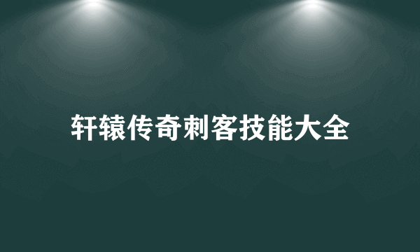 轩辕传奇刺客技能大全