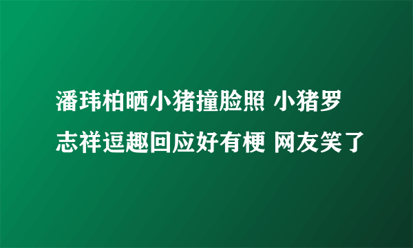 潘玮柏晒小猪撞脸照 小猪罗志祥逗趣回应好有梗 网友笑了