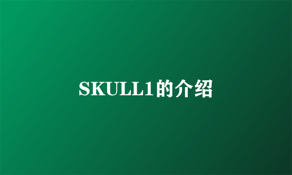 SKULL1的介绍