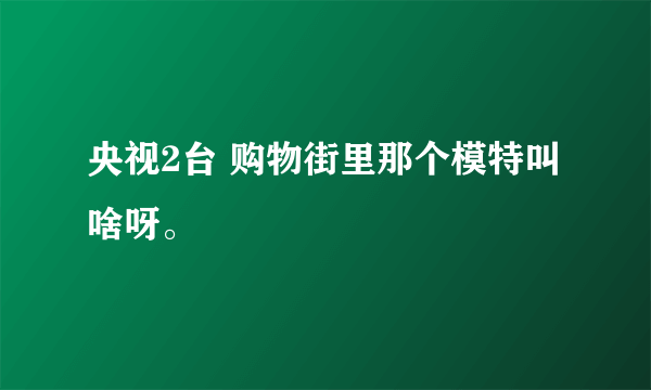 央视2台 购物街里那个模特叫啥呀。