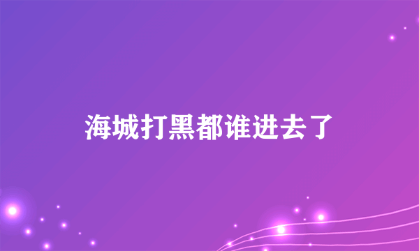 海城打黑都谁进去了