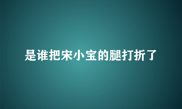 是谁把宋小宝的腿打折了