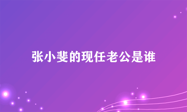 张小斐的现任老公是谁