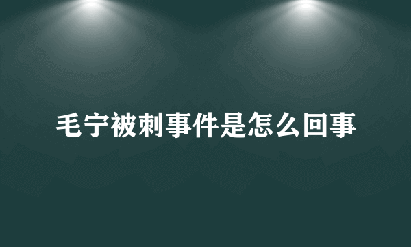 毛宁被刺事件是怎么回事