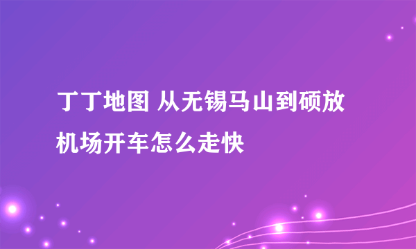 丁丁地图 从无锡马山到硕放机场开车怎么走快