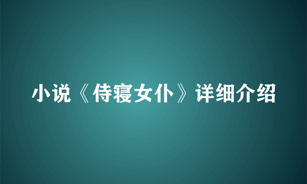 小说《侍寝女仆》详细介绍