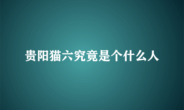 贵阳猫六究竟是个什么人