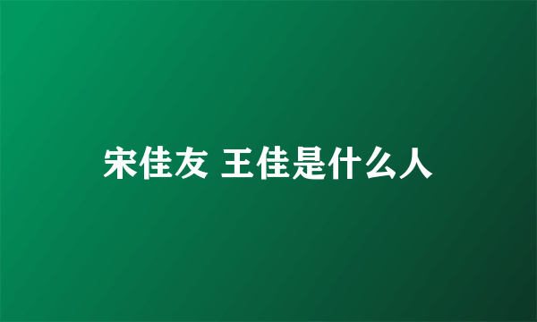 宋佳友 王佳是什么人