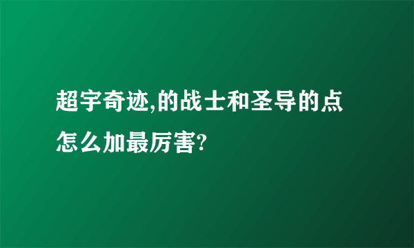 超宇奇迹,的战士和圣导的点怎么加最厉害?