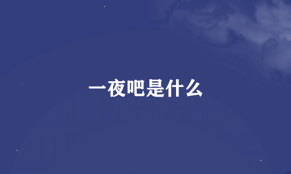 一夜吧是什么