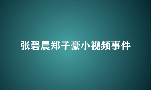 张碧晨郑子豪小视频事件