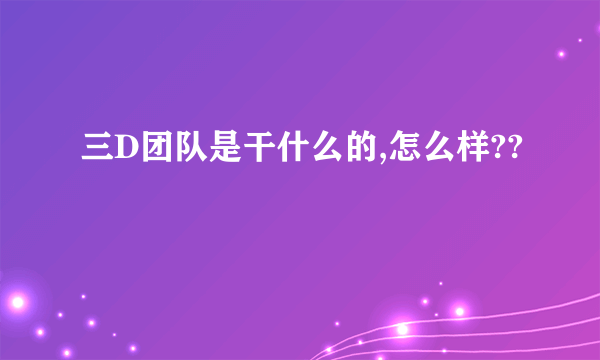 三D团队是干什么的,怎么样??