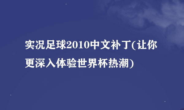 实况足球2010中文补丁(让你更深入体验世界杯热潮)