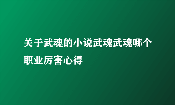 关于武魂的小说武魂武魂哪个职业厉害心得