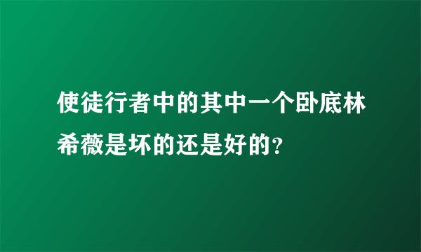 使徒行者中的其中一个卧底林希薇是坏的还是好的？