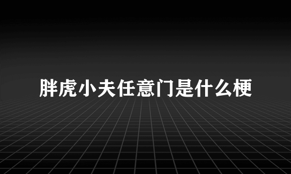 胖虎小夫任意门是什么梗