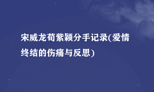 宋威龙荀紫颖分手记录(爱情终结的伤痛与反思)