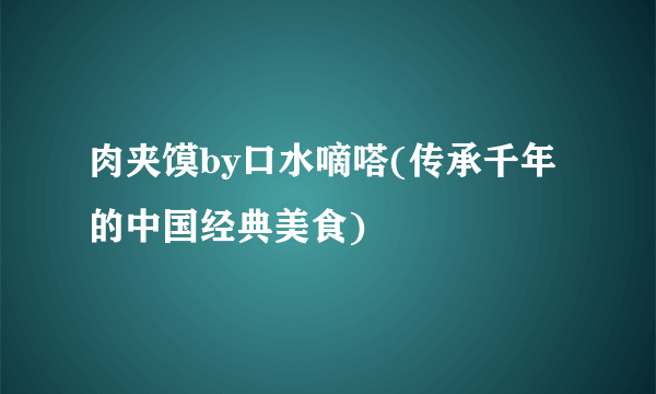 肉夹馍by口水嘀嗒(传承千年的中国经典美食)