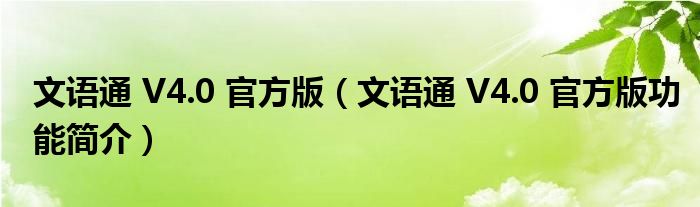 文语通V40官方版文语通V40官方版功能简介