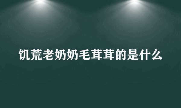 饥荒老奶奶毛茸茸的是什么