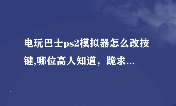 电玩巴士ps2模拟器怎么改按键,哪位高人知道，跪求！！！！！