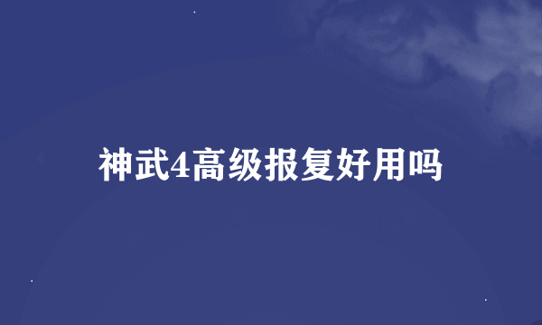 神武4高级报复好用吗