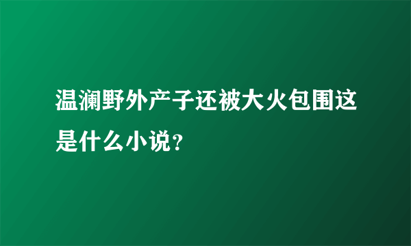 温澜野外产子还被大火包围这是什么小说？