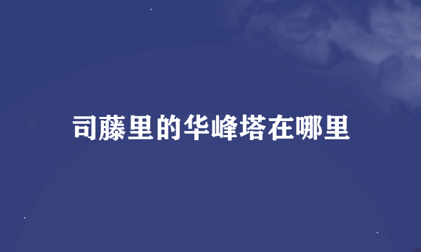 司藤里的华峰塔在哪里