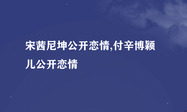 宋茜尼坤公开恋情,付辛博颖儿公开恋情