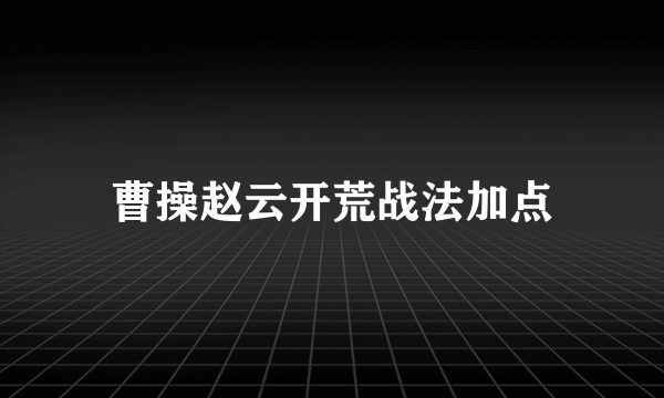 曹操赵云开荒战法加点