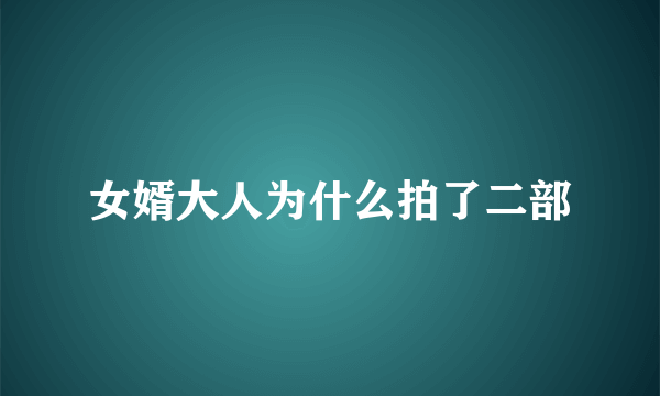 女婿大人为什么拍了二部