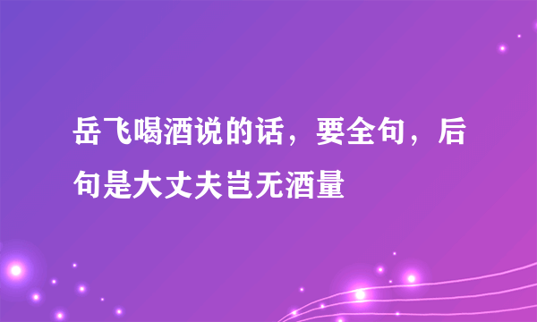 岳飞喝酒说的话，要全句，后句是大丈夫岂无酒量