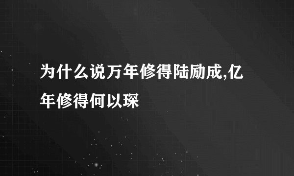 为什么说万年修得陆励成,亿年修得何以琛