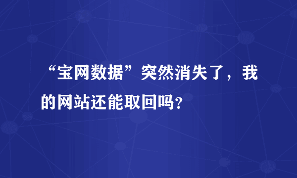 “宝网数据”突然消失了，我的网站还能取回吗？