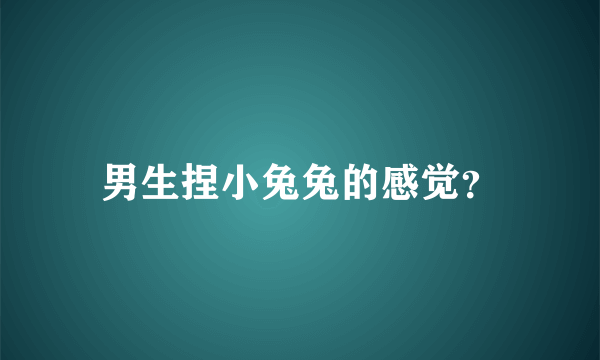 男生捏小兔兔的感觉？