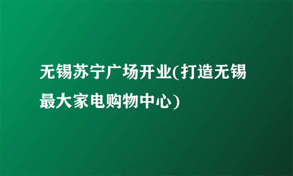 无锡苏宁广场开业(打造无锡最大家电购物中心)