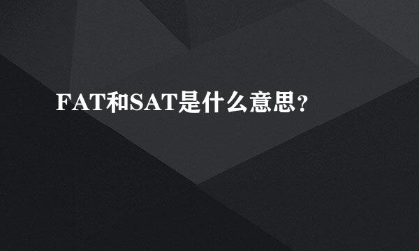 FAT和SAT是什么意思？