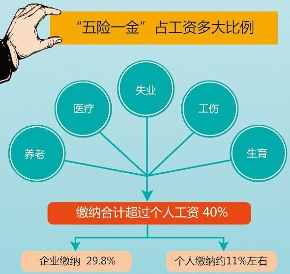 公司为员工缴纳社来自保的程序是什么