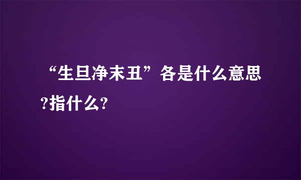 “生旦净末丑”各是什么意思?指什么?